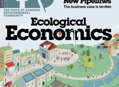 Cover 43.1 Ecological Economics
