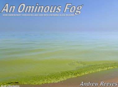An Ominous Fog title image