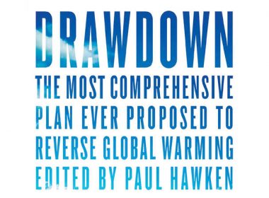 'Drawdown', edited by Paul Hawken. Penguin Books. 240 pp