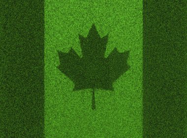 Grass flag Canada